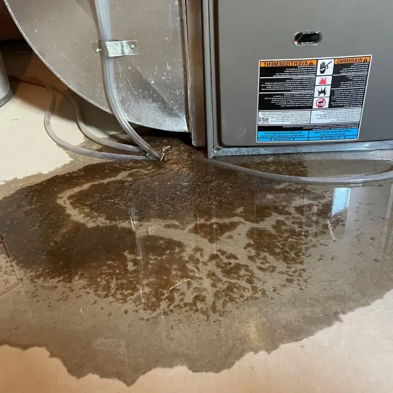 Pipe Burst and Leak Restoration in York County, SC